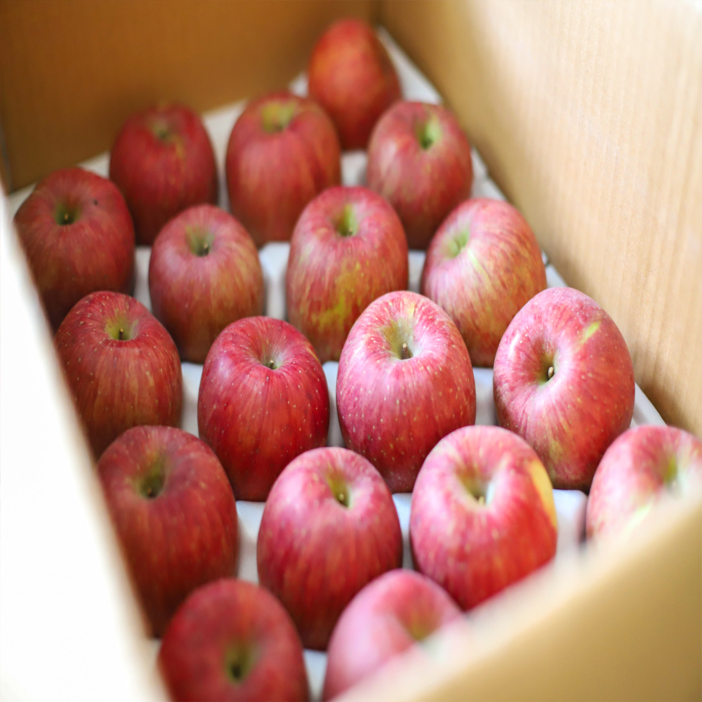 GAP 청송 부사 사과 가정용 흠과 아삭아삭 산지직송 꿀사과 못난이