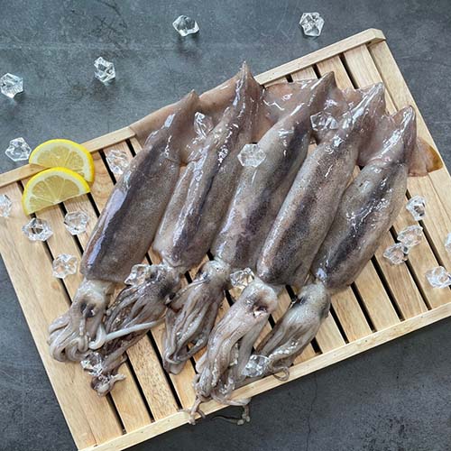 관우농가 손질 통오징어