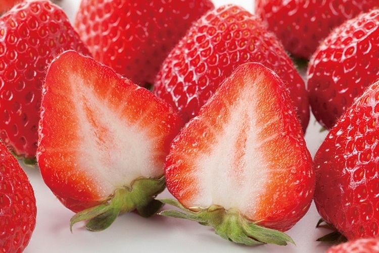 산지직송 프리미엄 설향 딸기, 450g 내외