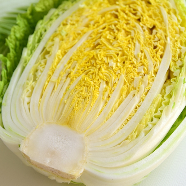 [김장최고] 꽉찬 통배추 2.5kg 1통 2통