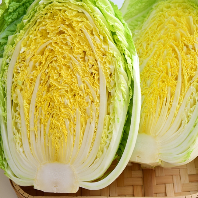 [김장최고] 꽉찬 통배추 2.5kg 1통 2통