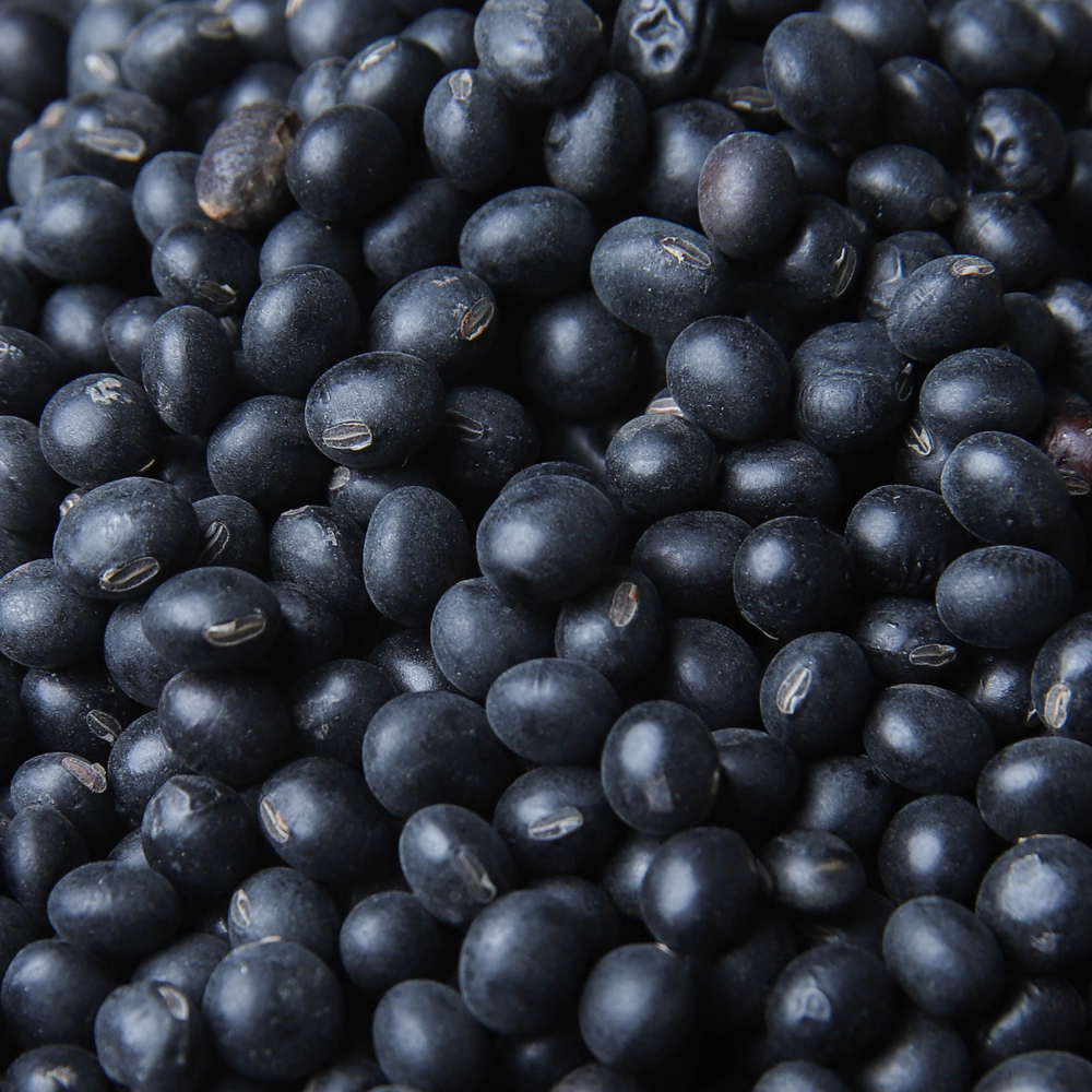 국산 햇 서리태 검은콩 쥐눈이콩 500g 1kg 2kg