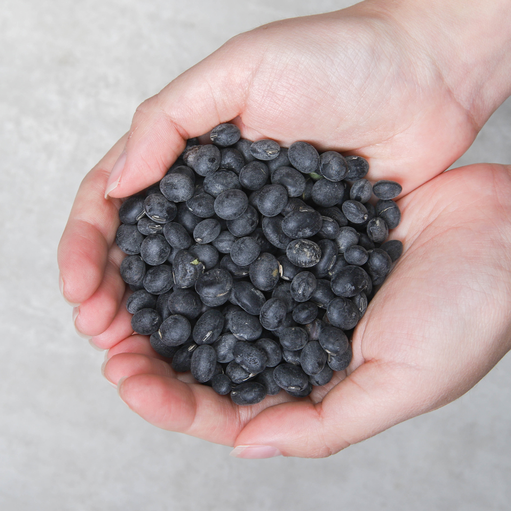 국산 햇 서리태 검은콩 쥐눈이콩 500g 1kg 2kg
