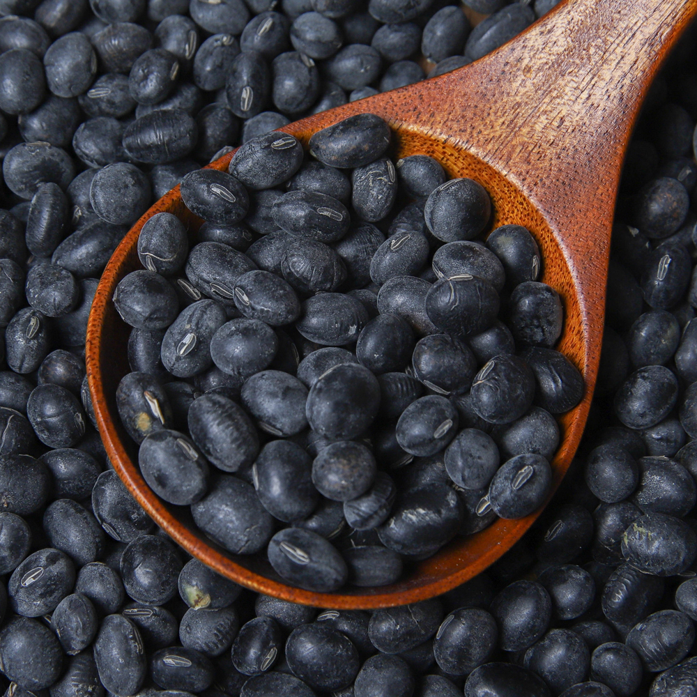 국산 햇 서리태 검은콩 쥐눈이콩 500g 1kg 2kg 대표이미지 섬네일