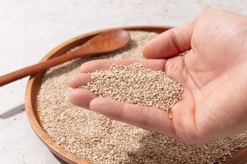 [해담는집] 유기농 참깨 500g