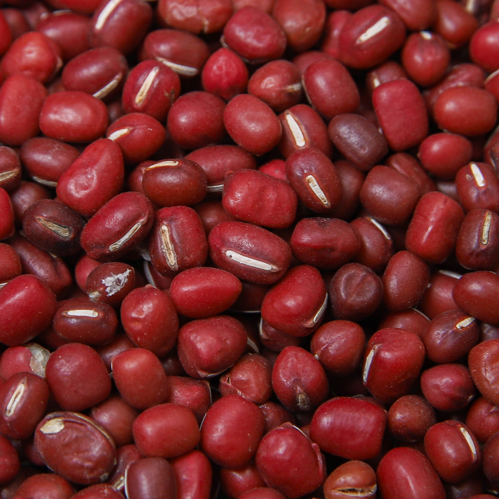 국산 팥 적두 햇팥 500g 1kg