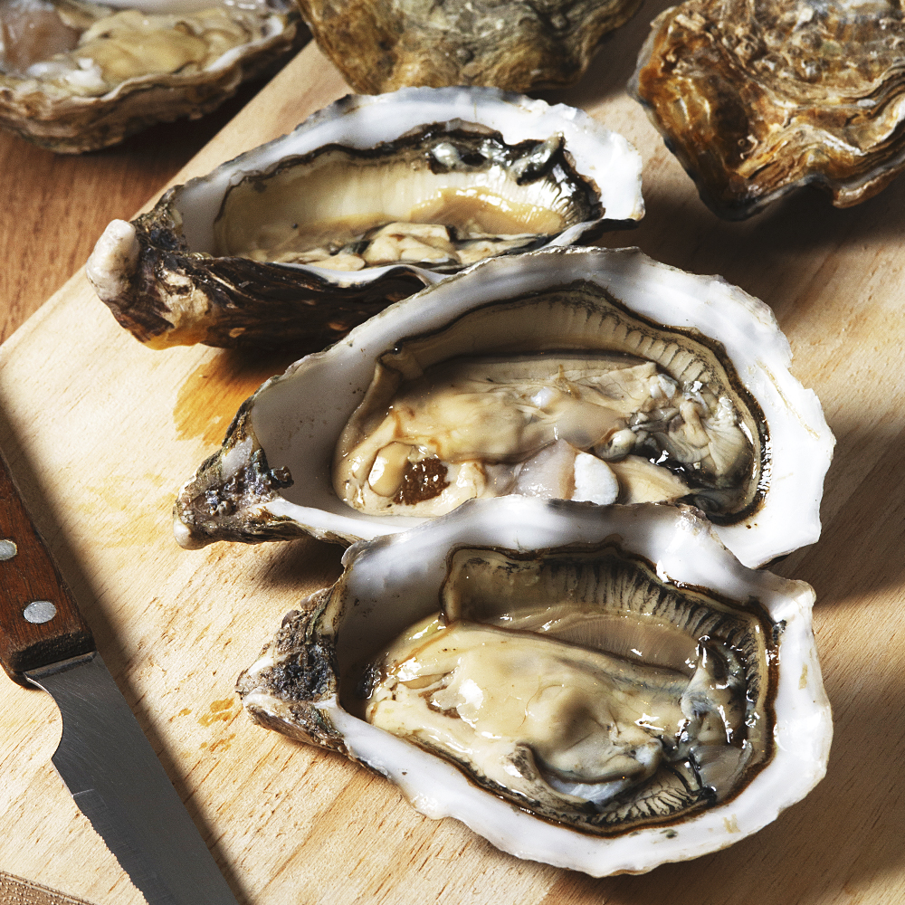 고흥 해창만 햇굴 사도어촌계 국내산 조기산 깐굴 2kg 3kg 4kg