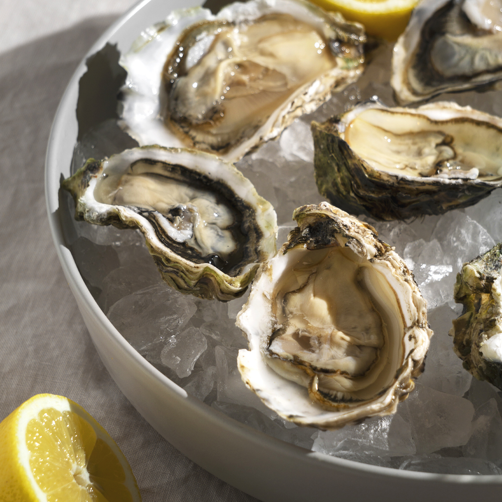 고흥 해창만 햇굴 사도어촌계 국내산 조기산 깐굴 2kg 3kg 4kg