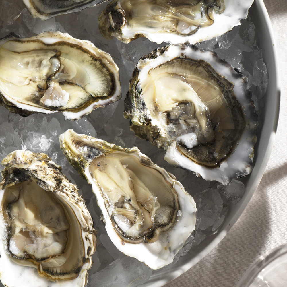 고흥 해창만 햇굴 사도어촌계 국내산 조기산 깐굴 2kg 3kg 4kg