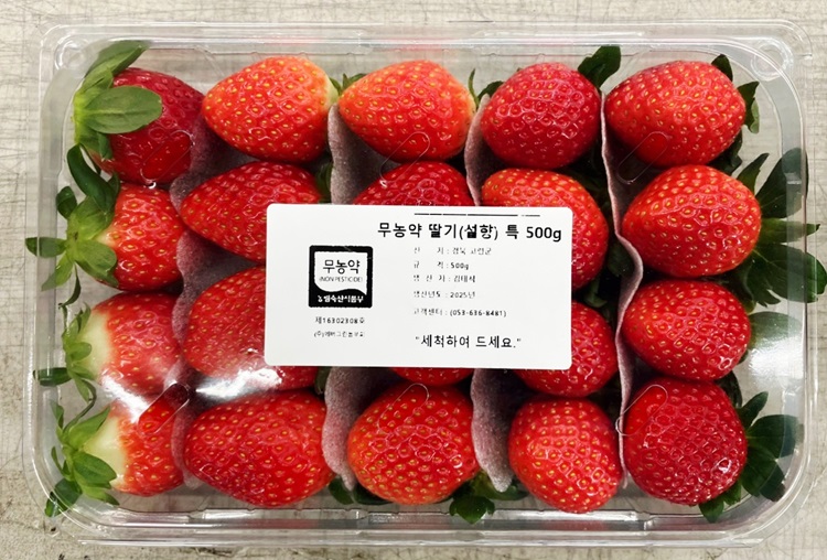 고령 무농약 설향 딸기 제철 생딸기