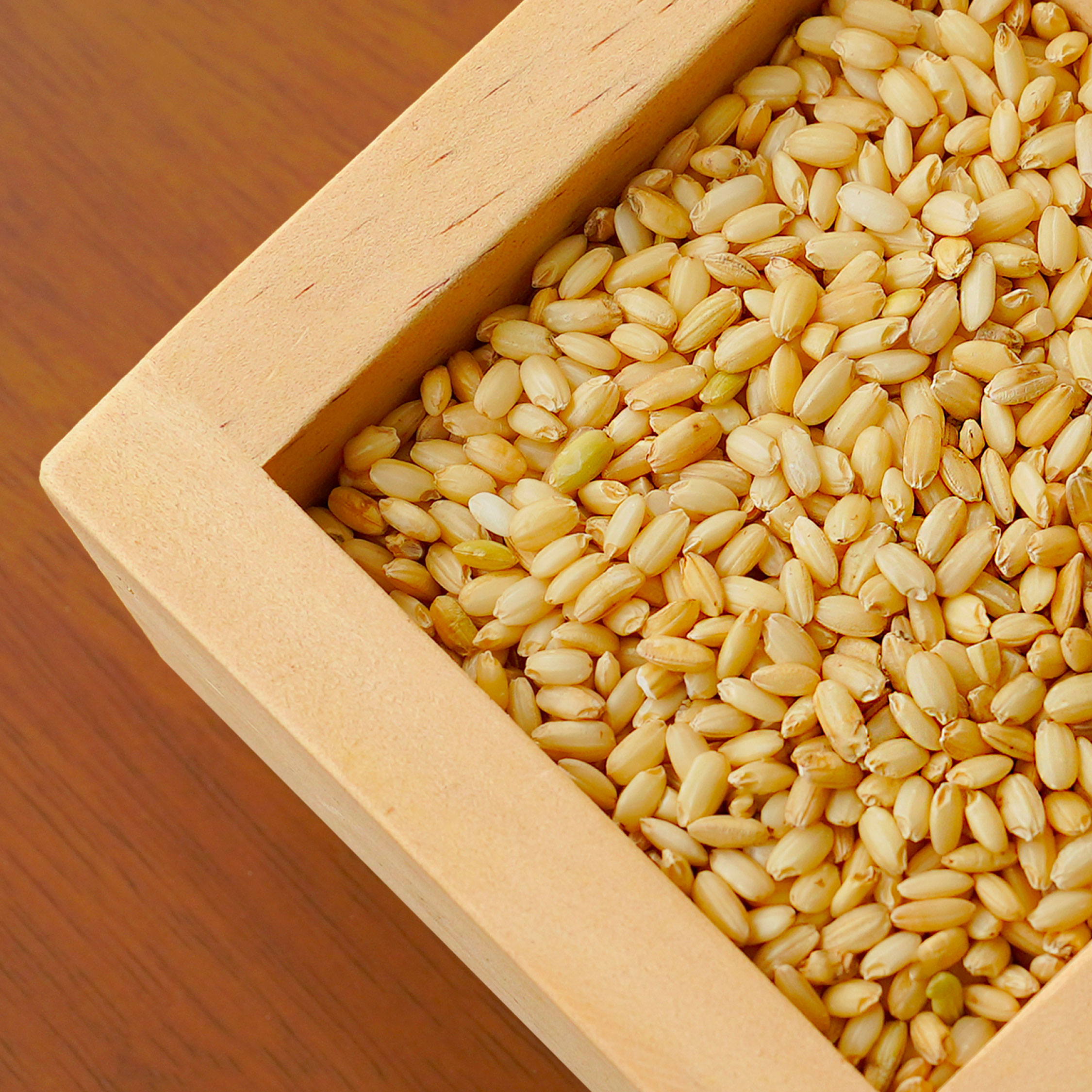 25년산 국산 유기농 찰 현미 찹쌀 2kg