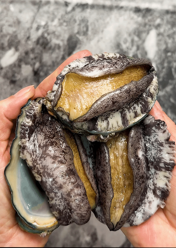 완도사랑 특대전복 5-6미 1kg 산지직송 선물세트