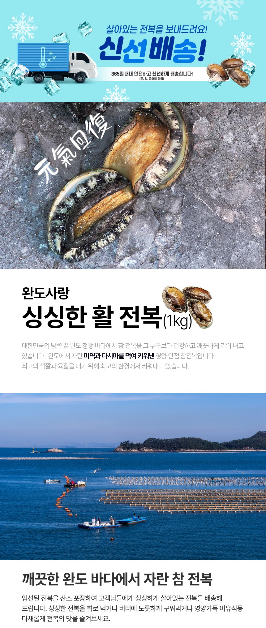 완도사랑 대전복 8-9미 1kg 산지직송 선물세트