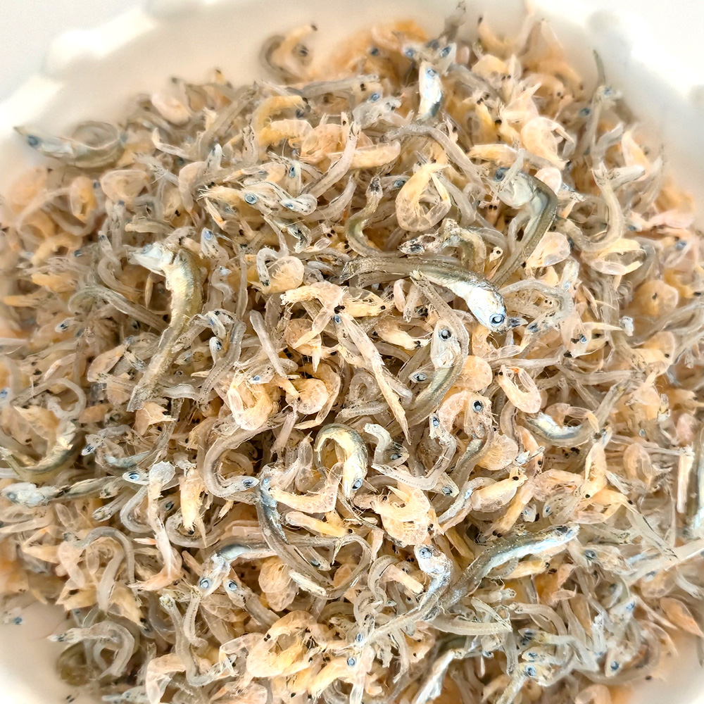 청경해 인증 경상남도 추천 지리멸치 1kg 밥새우 섞인 멸치 볶음용 조림용