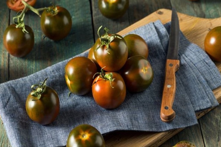 국내산 스테비아 흑토마토 쿠마토