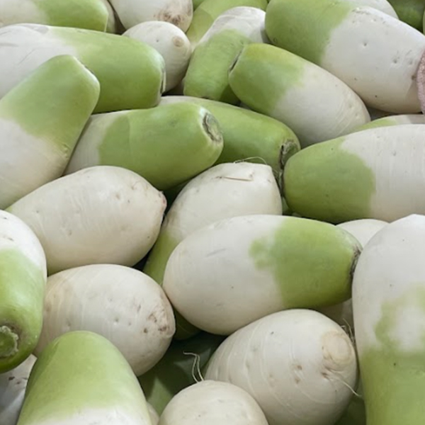 [김장최고] 제주 월동무 무우 무시 2~10kg 대표이미지 섬네일