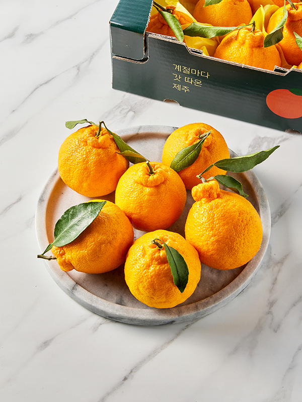 [특품] GAP 제주 한라봉, 6-8입