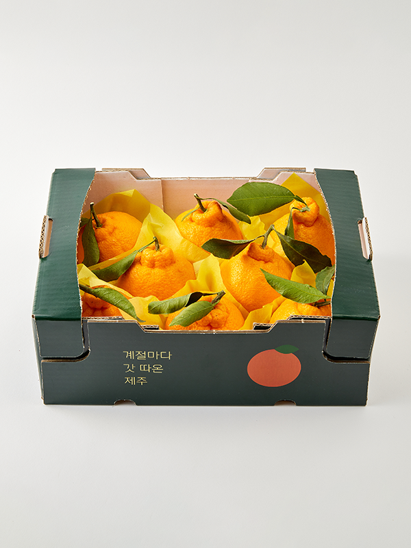 [특품] GAP 제주 한라봉, 6-8입