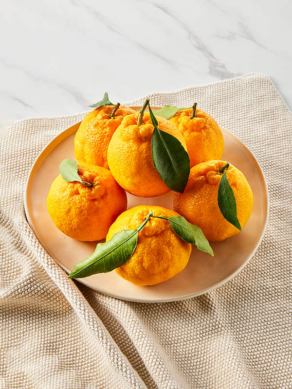 GAP 제주 한라봉, 5-7입