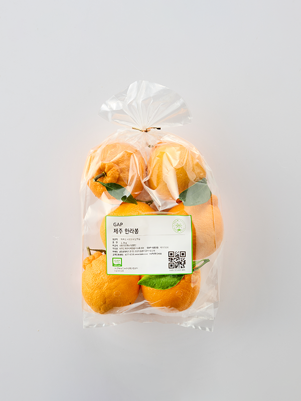 GAP 제주 한라봉, 5-7입