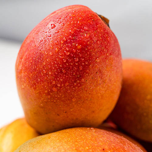 관우농가 페루산 애플망고