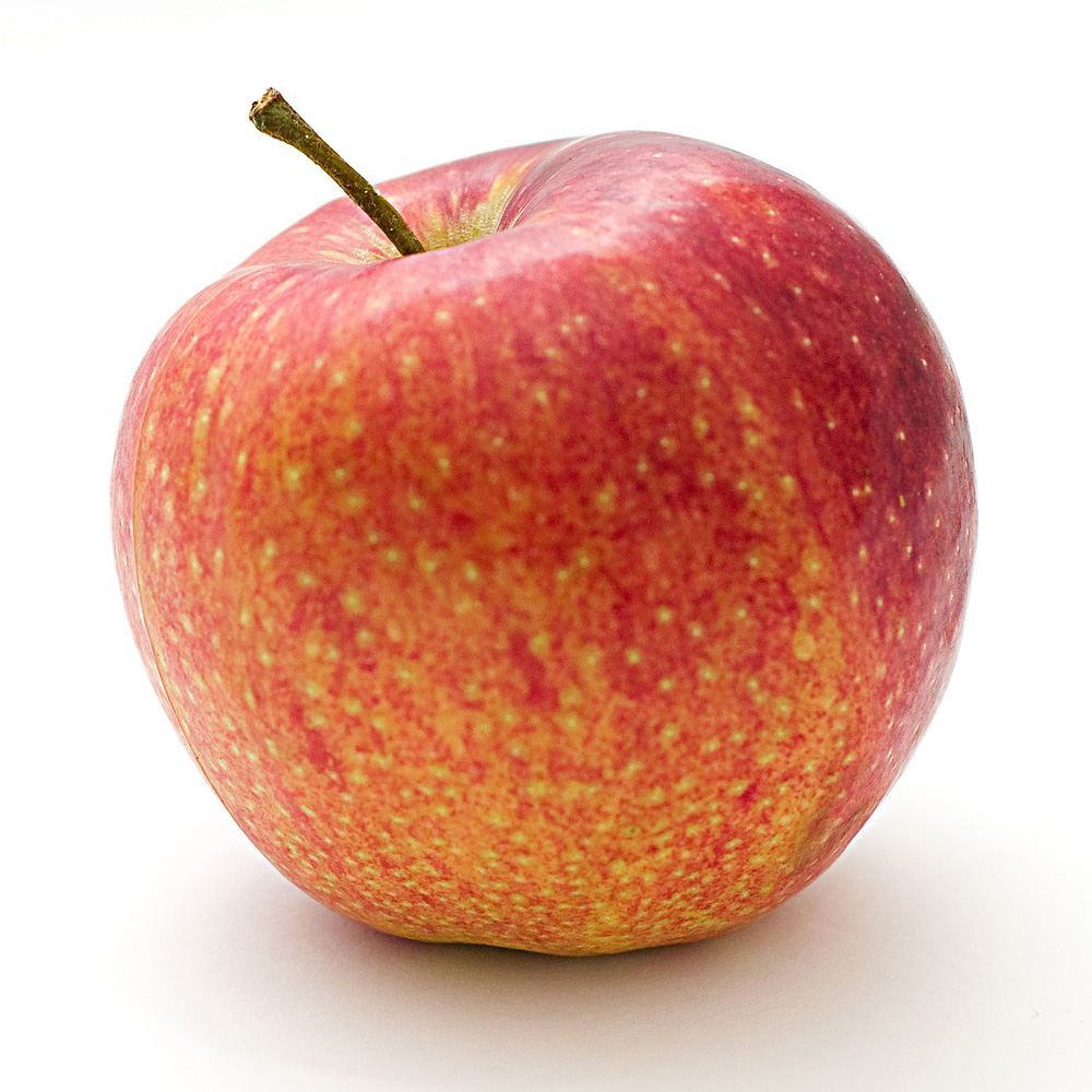 초록초록팜 밀양 얼음골 부사 사과 흠과 5kg (25~11과)가정용 못난이