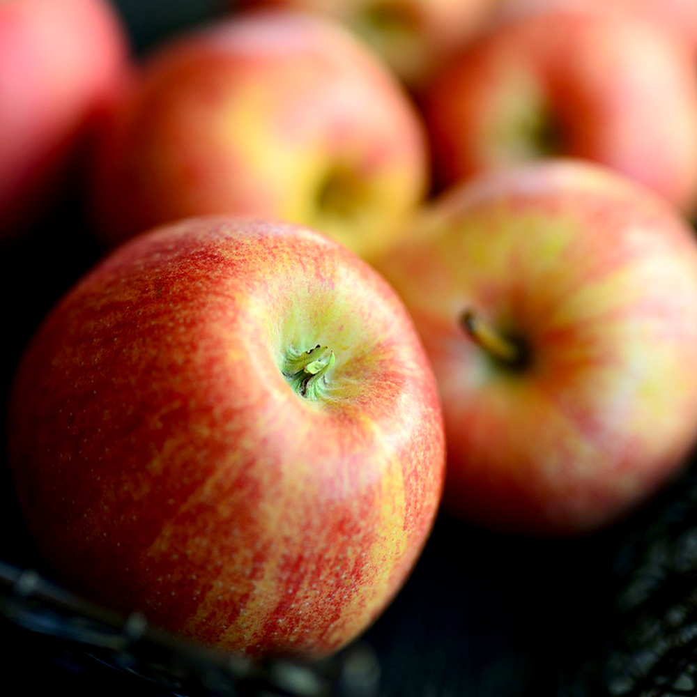 초록초록팜 밀양 얼음골 부사 사과 흠과 5kg (25~11과)가정용 못난이