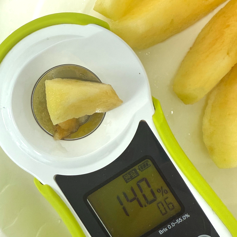 산지직송 안동사과 가정용부사