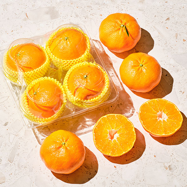 [고당도]레드향(특대 4입/1kg전후)