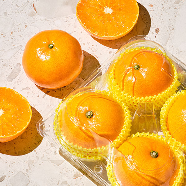 [고당도]천혜향 (특대 4입/ 1kg 전후)