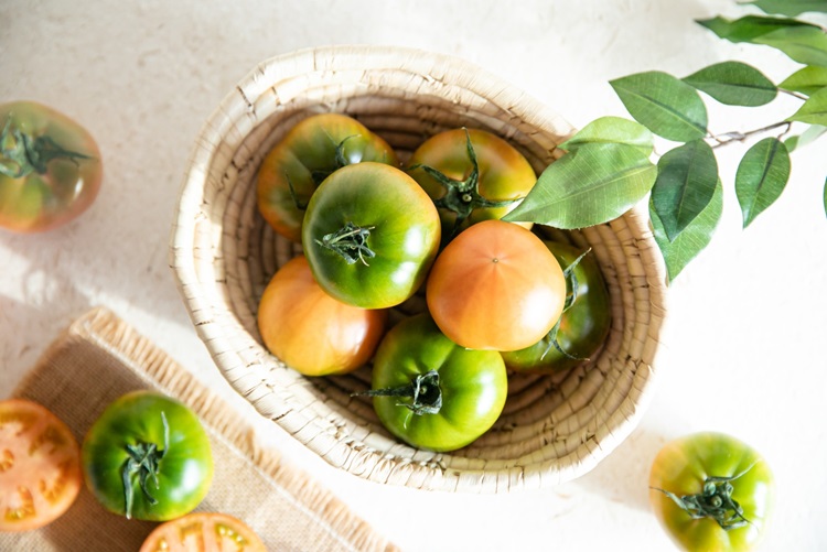 부산 고당도 대저토마토 완숙 찰토마토