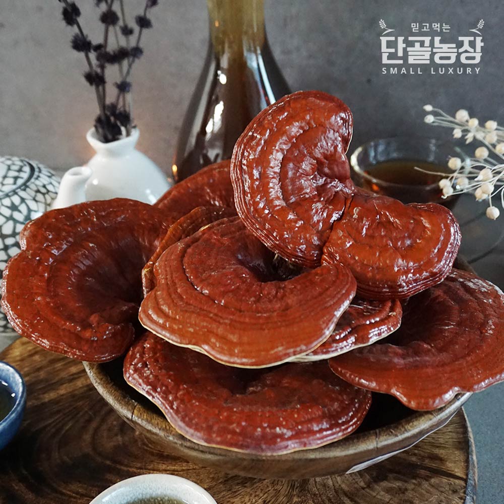 류충현버섯명장 편각영지버섯 고급선물세트 500g