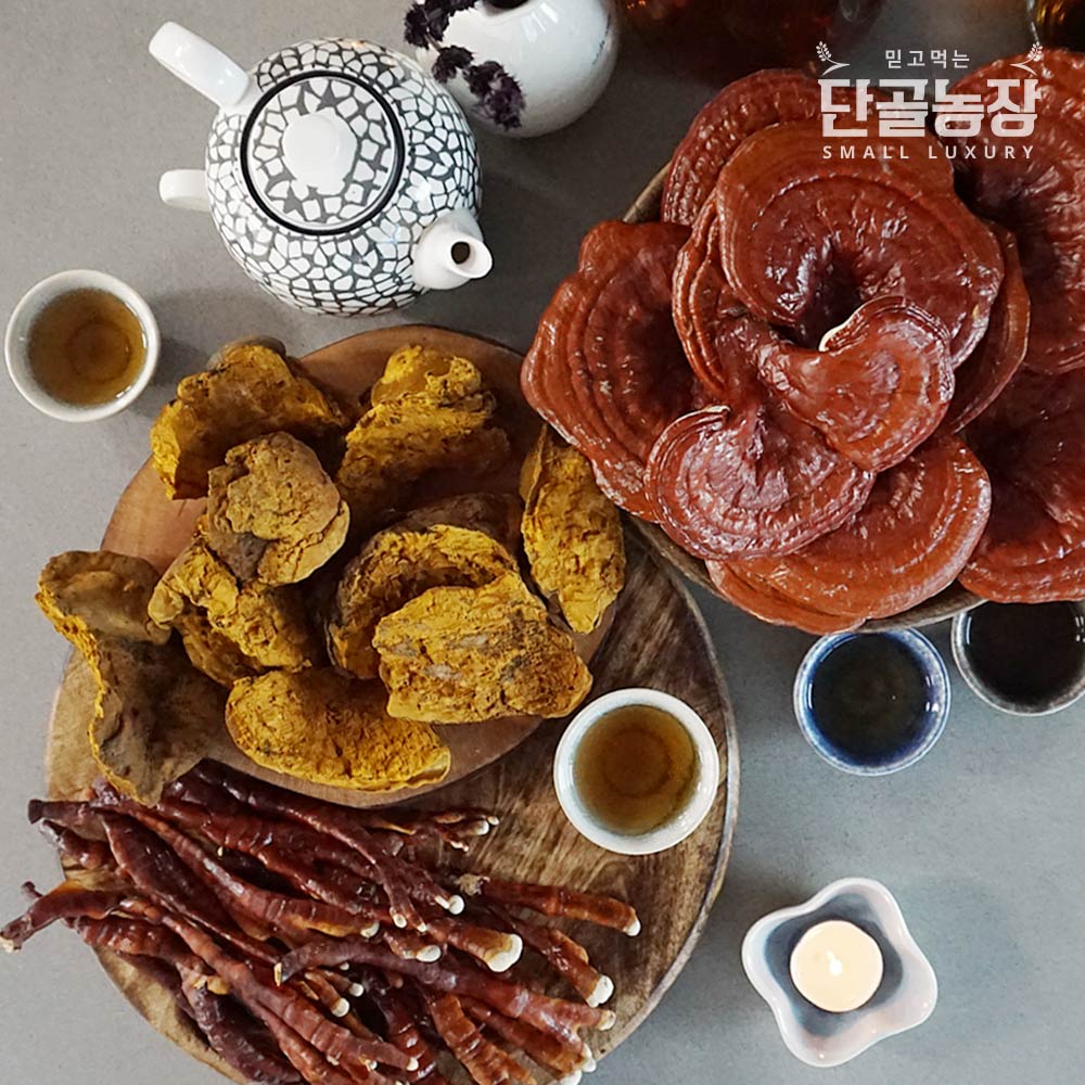 류충현버섯명장 상황버섯 영지버섯 혼합선물세트 300g