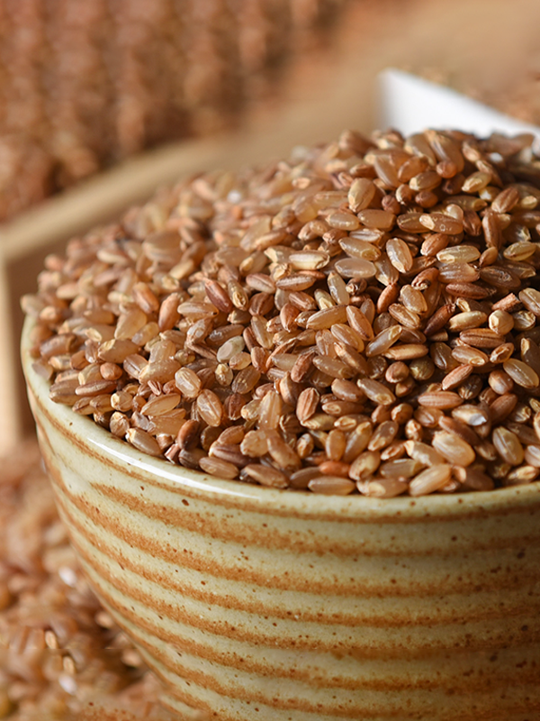 미이랑 유기농 갈색가바현미 2kg (2025년)