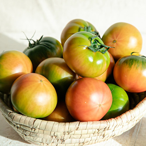 관우농가 대저 단짠단짠 짭짤이 토마토