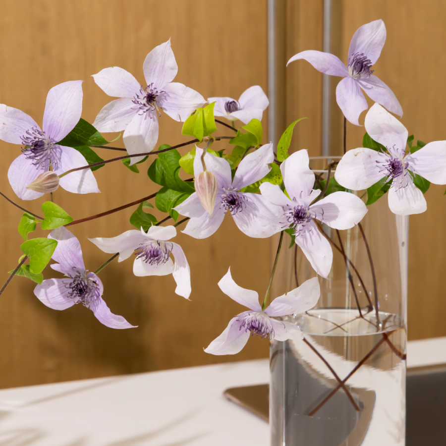 [플로버스] Silent Bloom 생화 키트 더현대 화예 작가픽 플라워+꽃병3개 풀세트