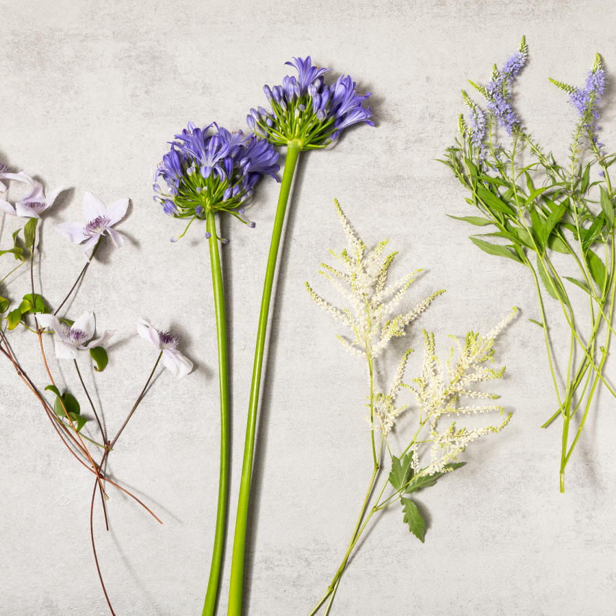 [플로버스] Silent Bloom 생화 키트 더현대 화예 작가픽 플라워+꽃병3개 풀세트