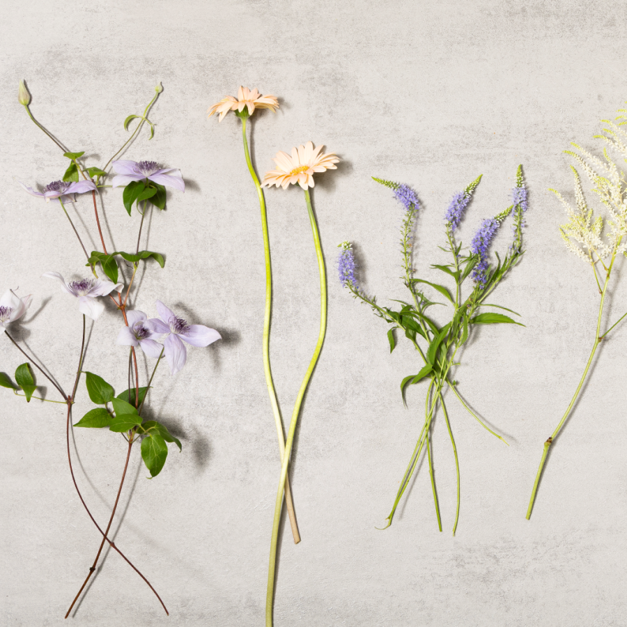 [플로버스] Joyful Spirit 생화 키트 더현대 화예 작가픽 플라워+꽃병3개 풀세트