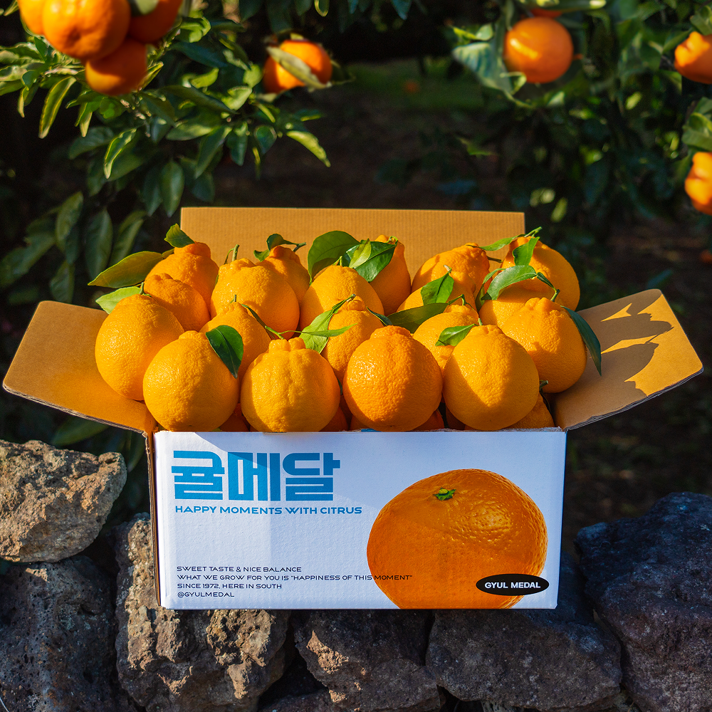 귤메달 한라봉 2kg 3kg 5kg 10kg 대표이미지 섬네일