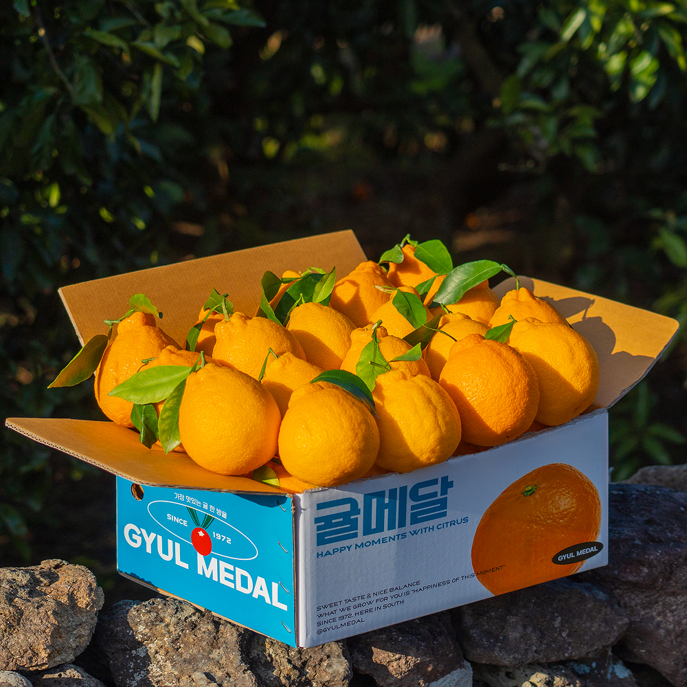 귤메달 써니트한라봉 2kg 3kg 5kg 10kg