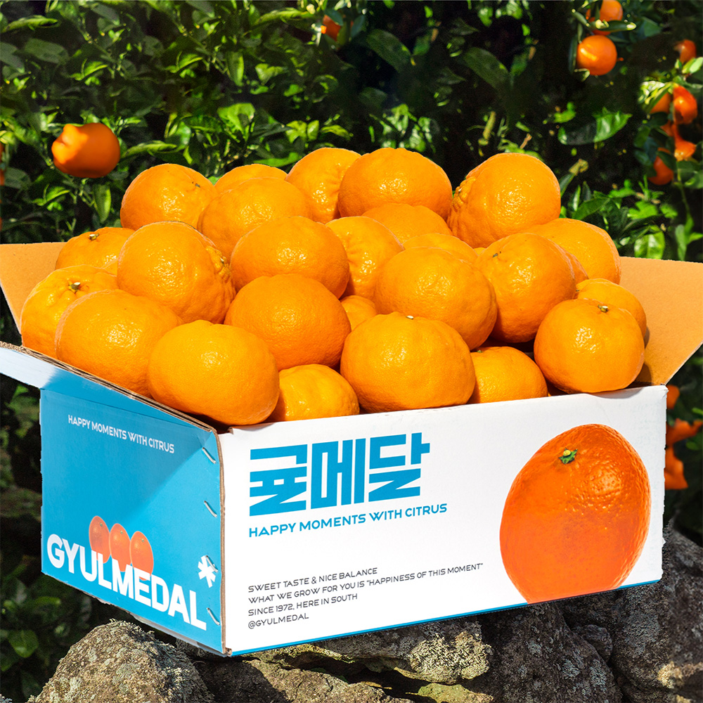 귤메달 윈터프린스 2kg 3kg 5kg 10kg