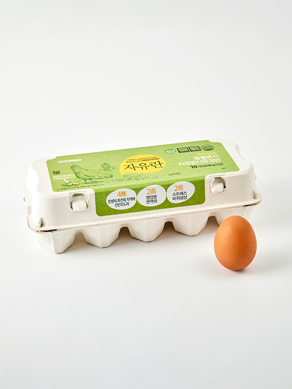 무항생제 동물복지 자유방사 자유란 (10구)