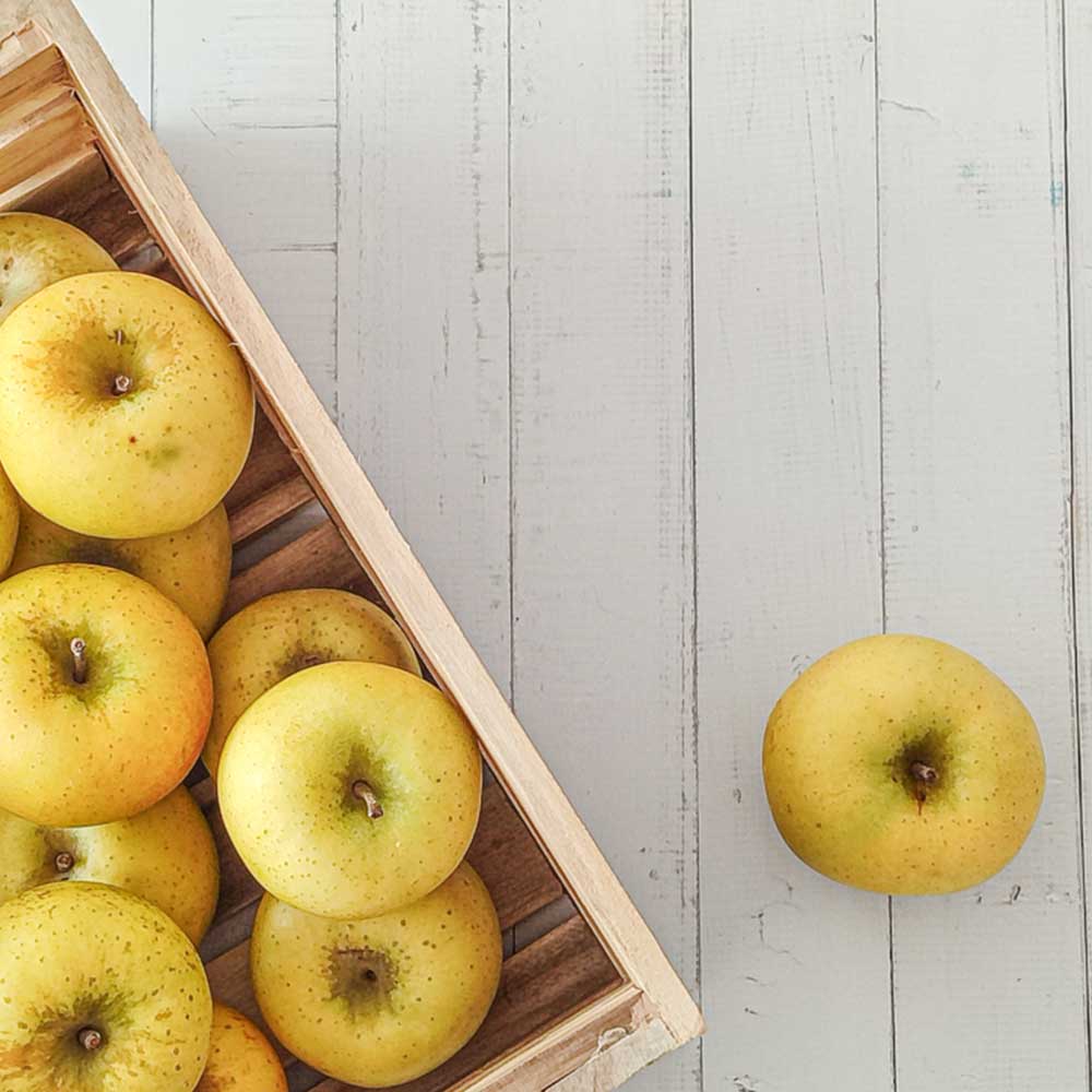 황금빛 노란 사과 시나노골드 선물세트