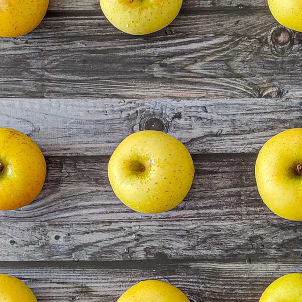 황금빛 노란 사과 시나노골드 선물세트