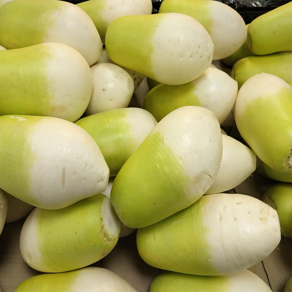 세척 제주 월동무 제주산 국산무 손질 겨울무 바로조리 제철