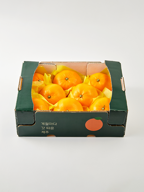 [특품] GAP 제주 천혜향, 6-9입