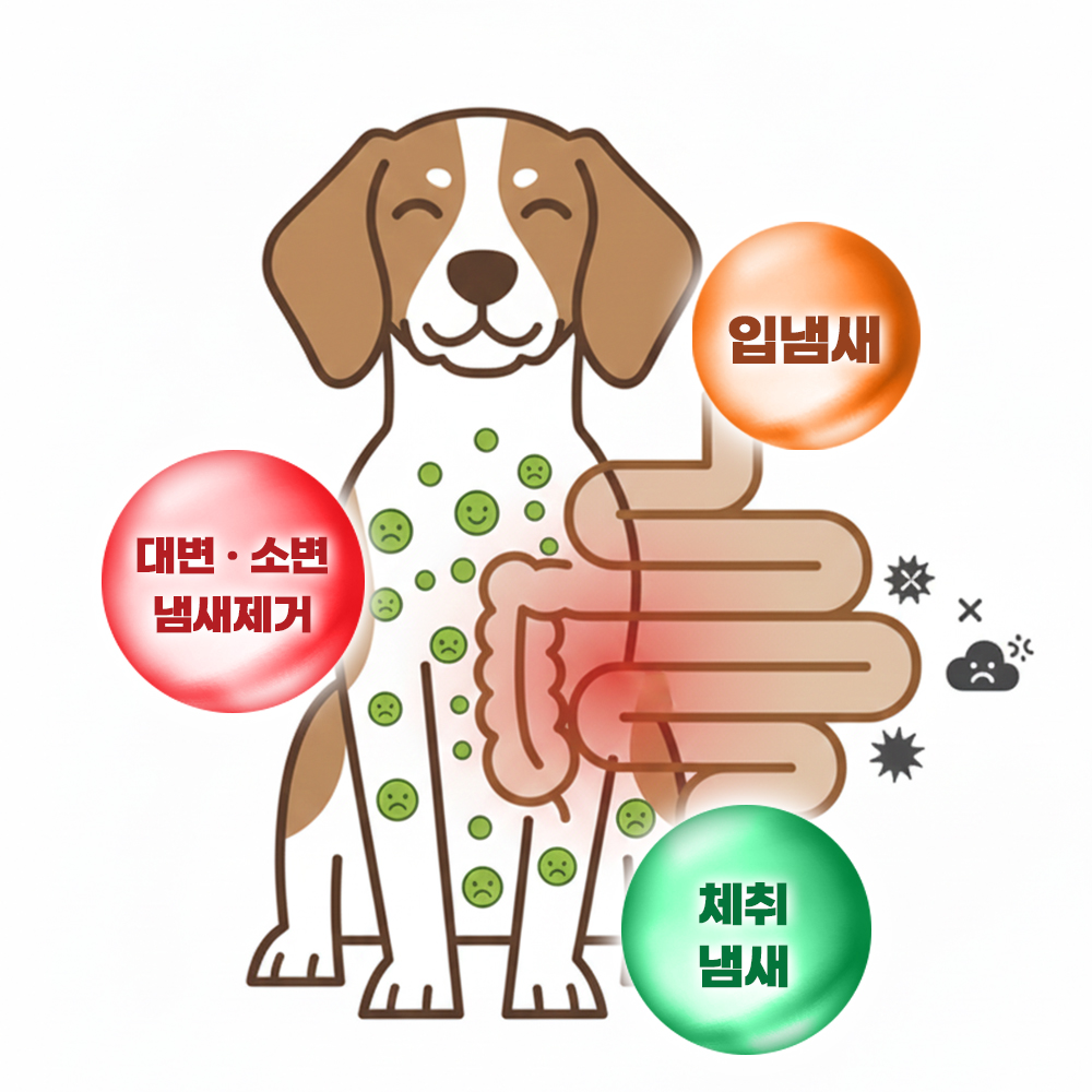 무무펫 강아지 냄새제거 음료 탈취제 입냄새 오줌 소변 배변 체취