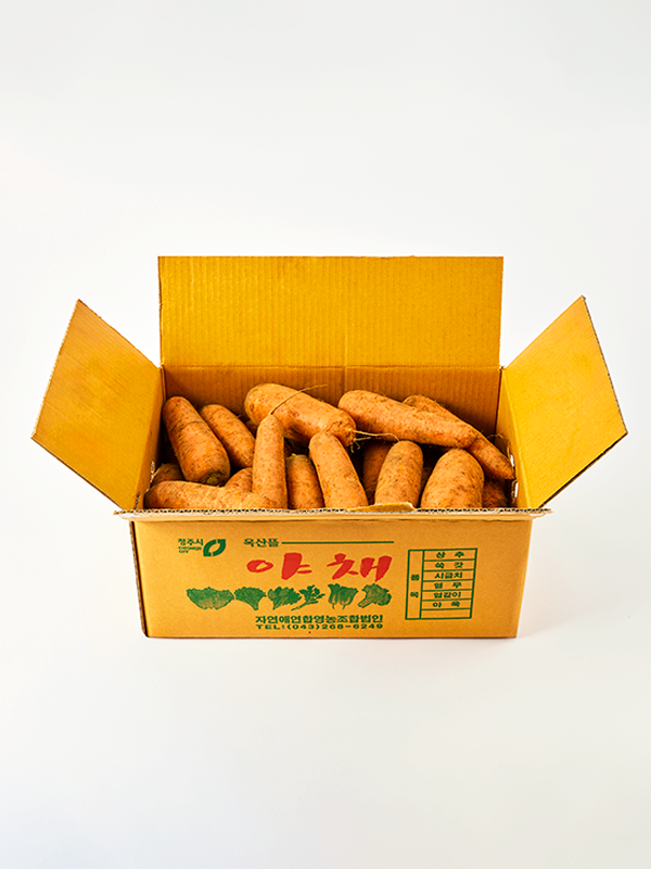 제주 구좌 흙당근 5kg(박스)