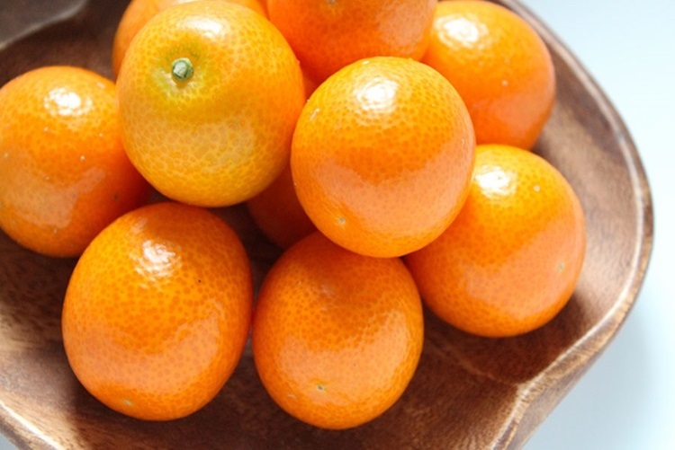 고당도 제주 금귤 낑깡 제주특산품