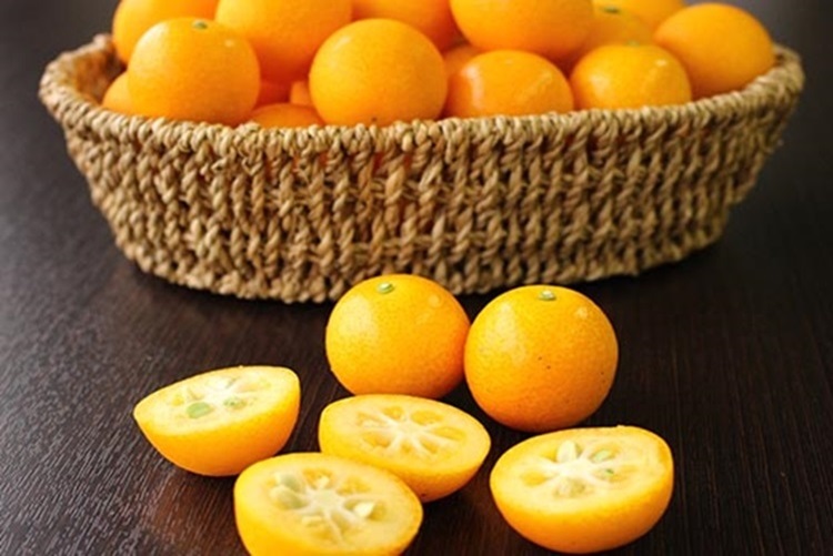 고당도 제주 금귤 낑깡 제주특산품